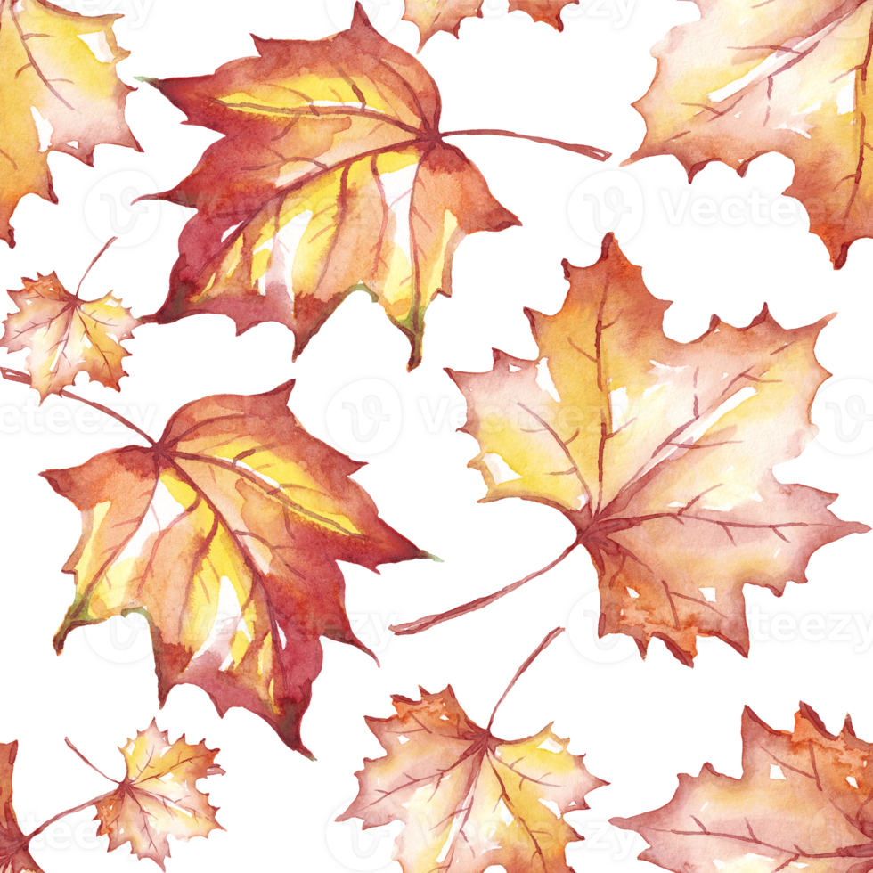 Fall leaves seamless pattern png