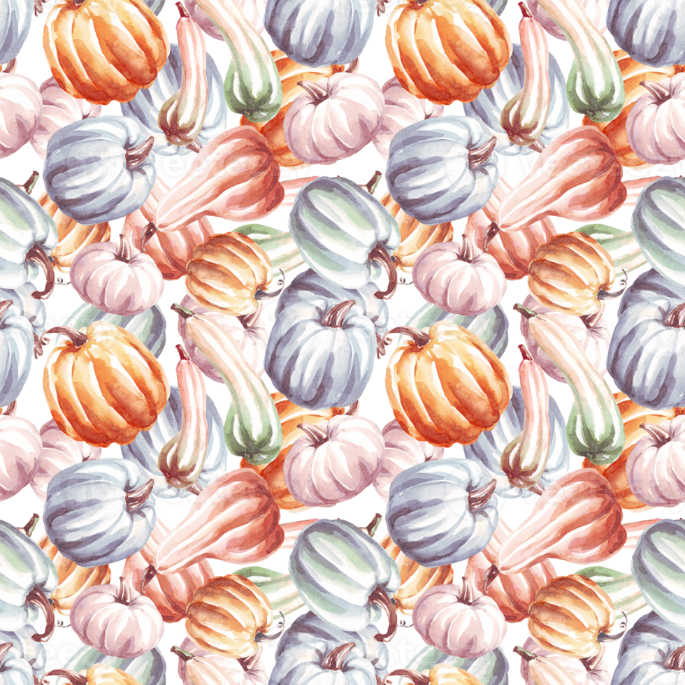 Pumpkins seamless pattern. WAtercolor clipart png