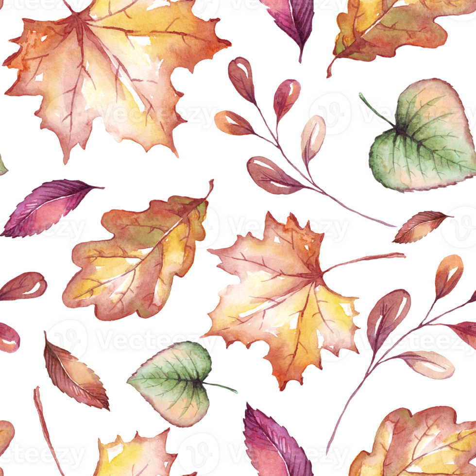Fall leaves seamless pattern png
