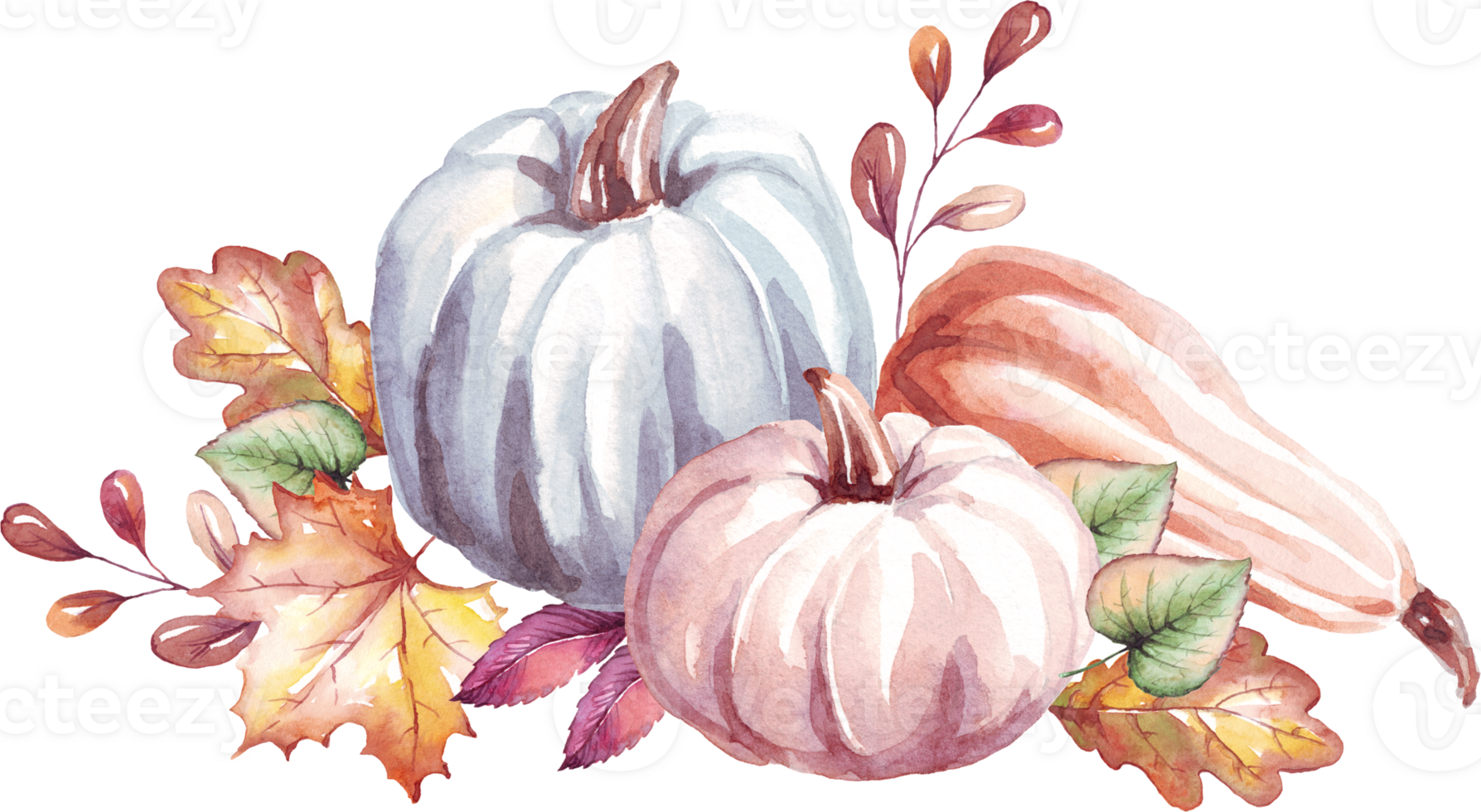 calabazas otoño humor. acuarela clipart png