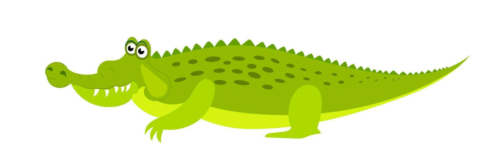 Friendly cute green crocodile character. Aligator flat vector cartoon illustration. Funny wild animal isolated on white background