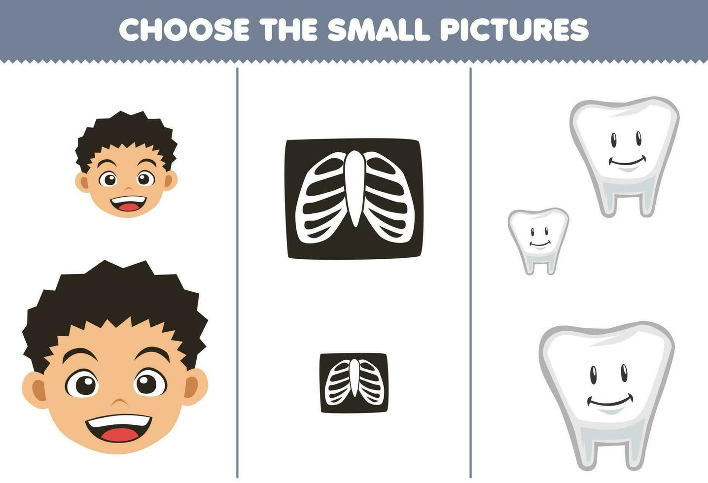 Education game for children choose the small picture of cute cartoon face  bone x-ray tooth printable anatomy worksheet vector