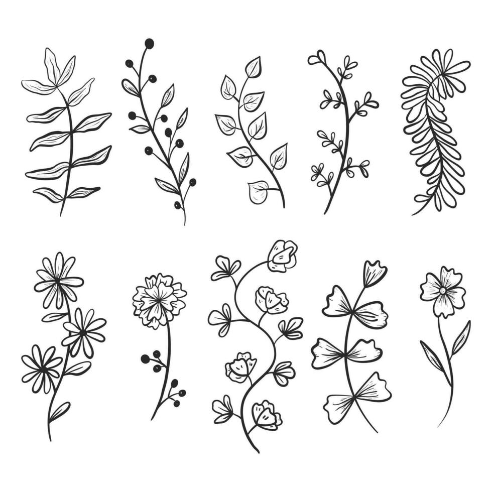 Set of vector doodle icons. Collection of design elements, branches and twigs with leaves, flower buds and petals.