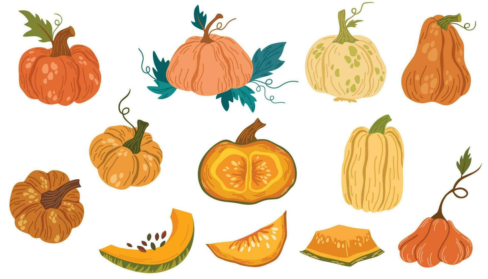 Pumpkins set. Elements of Thanksgiving and Halloween. Different pumpkins, fresh vegetables, autumn harvest. Cartoon vector illustration isolated on the white background.