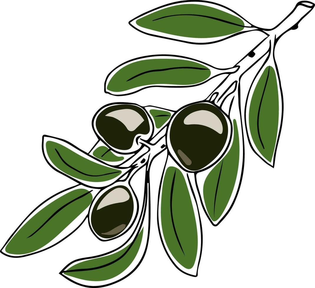 Lineart style black olives on branch with green leaves black outline isolated on white background vector