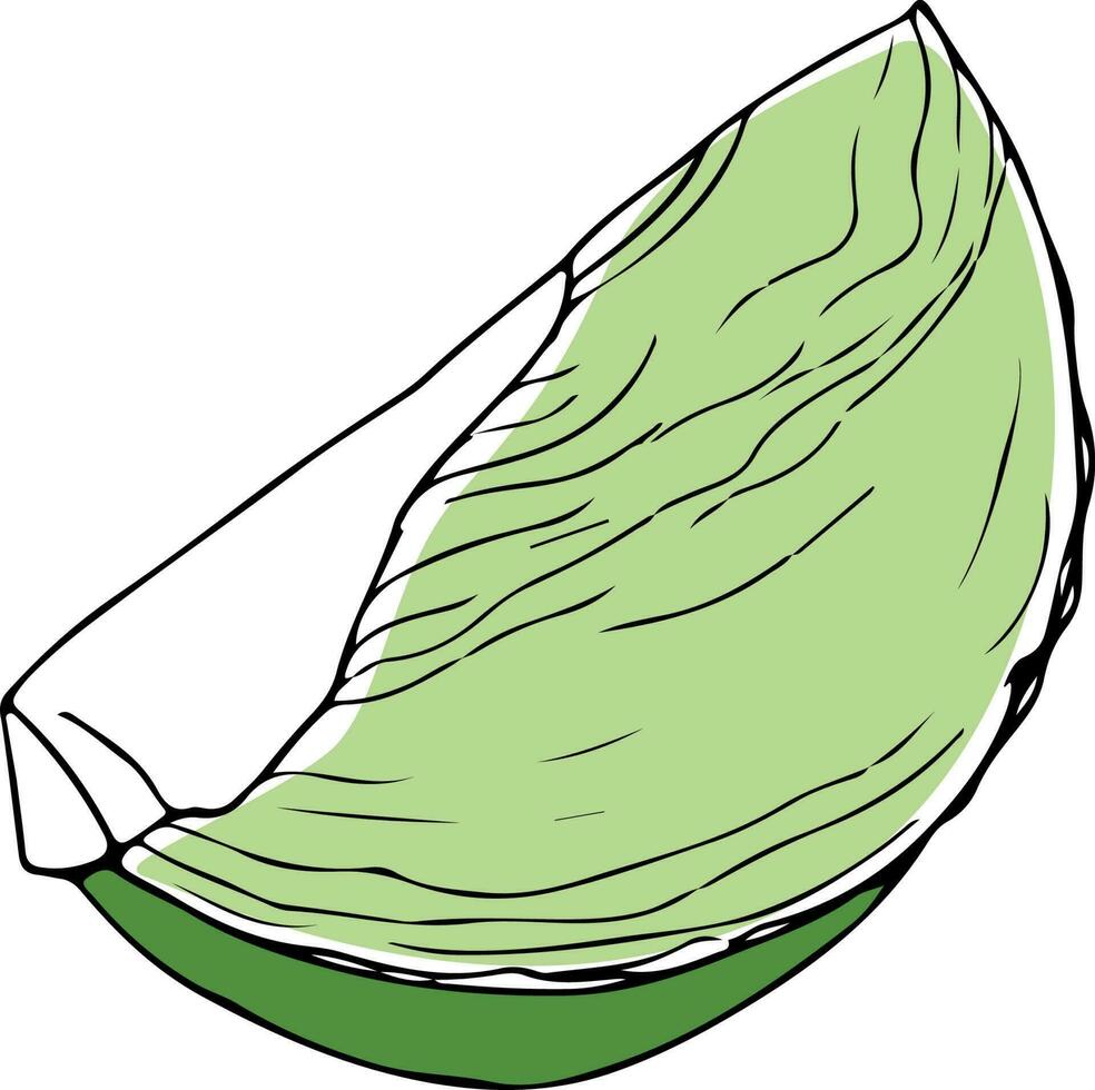 Lineart style chopped green cabbage black outline isolated on white background vector