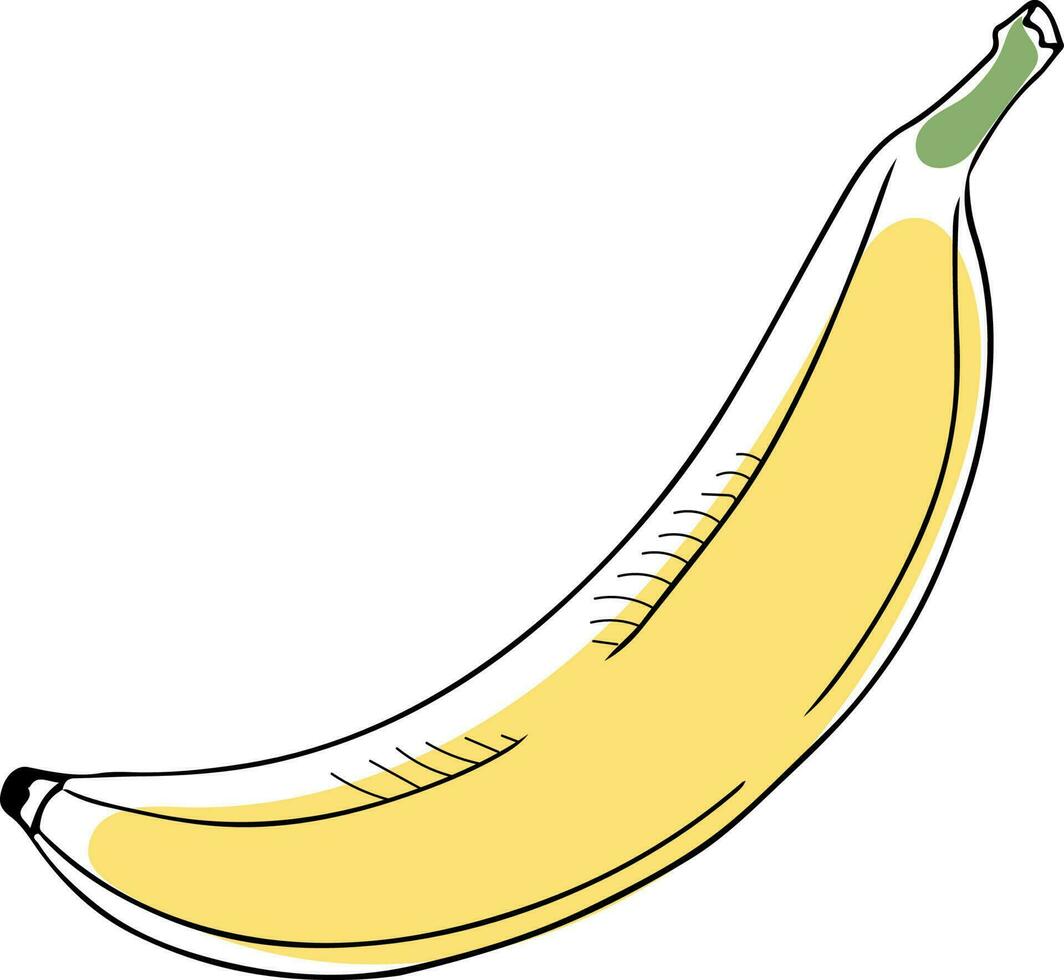 Lineart style vector single banana black outline on white background isolated