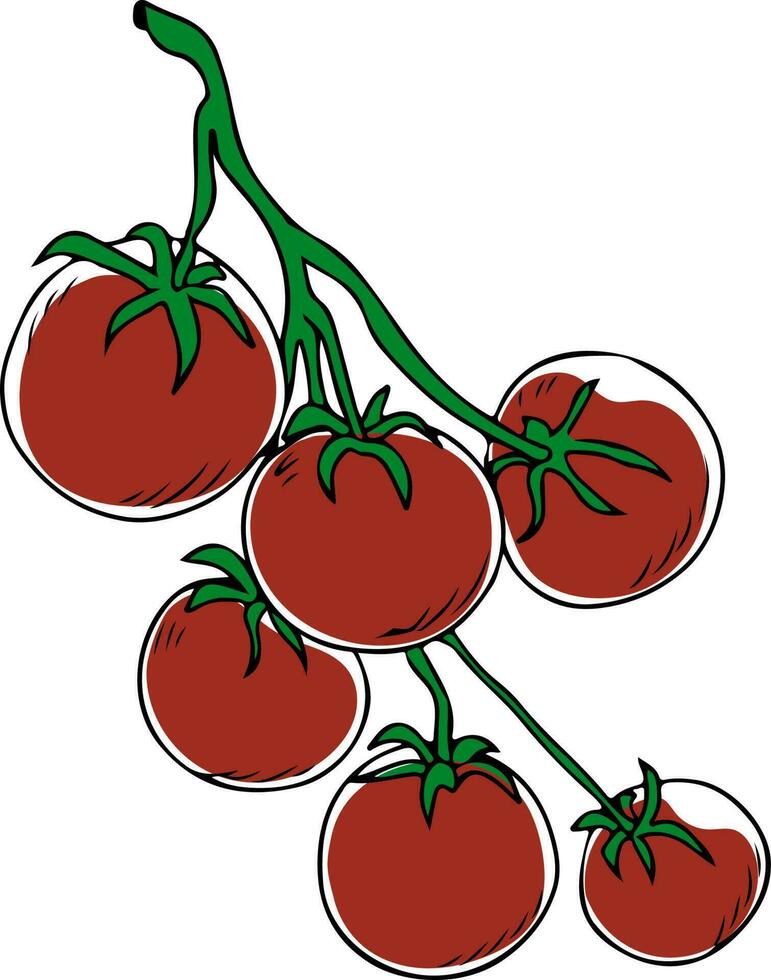 Lineart style red cherry tomatoes on green branch isolated on white background vector
