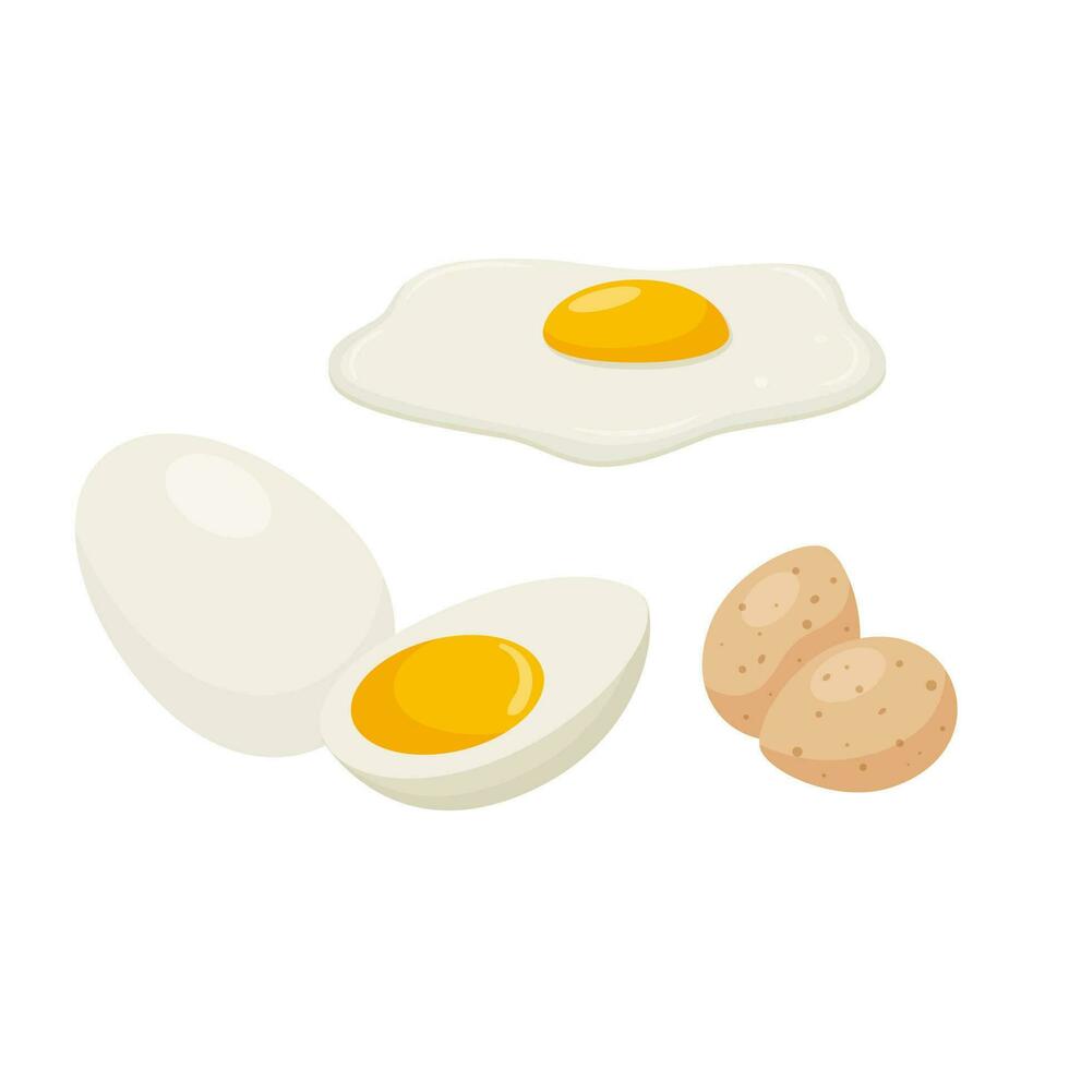 Fried eggs, raw and boiled eggs. Boiled chicken egg, quail eggs. Egg with yolk. A food ingredient, a product of animal origin. cartoon style. Color vector illustration isolated on a white background.
