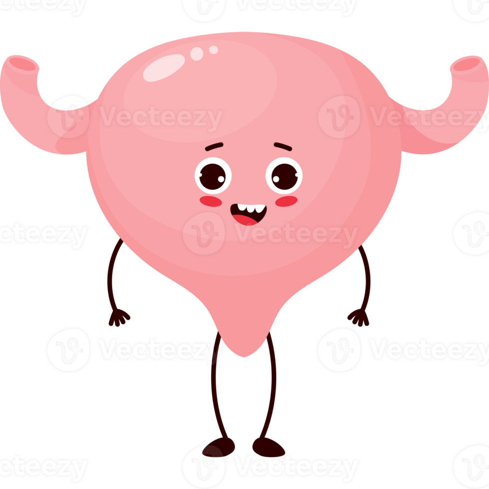 cute character organ Bladder png