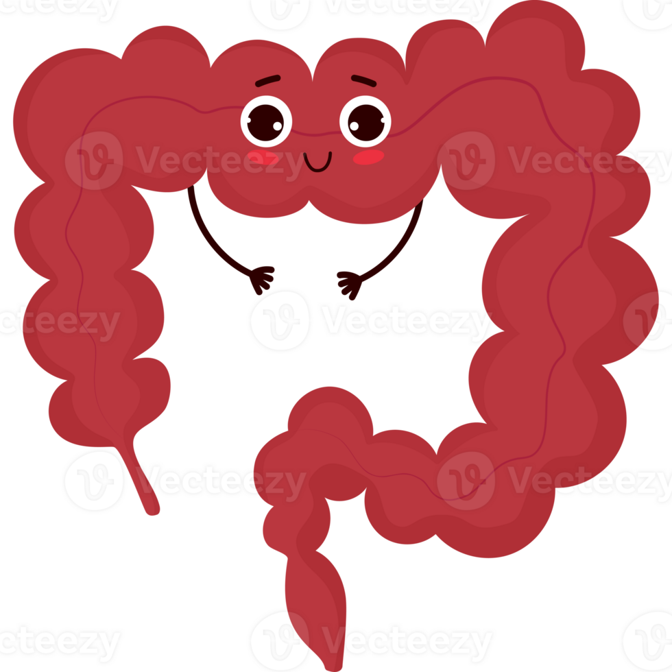 cute cartoon character organ rectum png