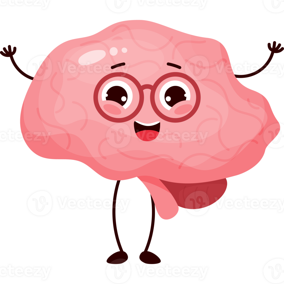 cute cartoon character organ Brain png