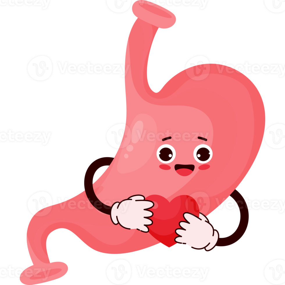 Free Cute cartoon stomach character 23367139 PNG with Transparent ...