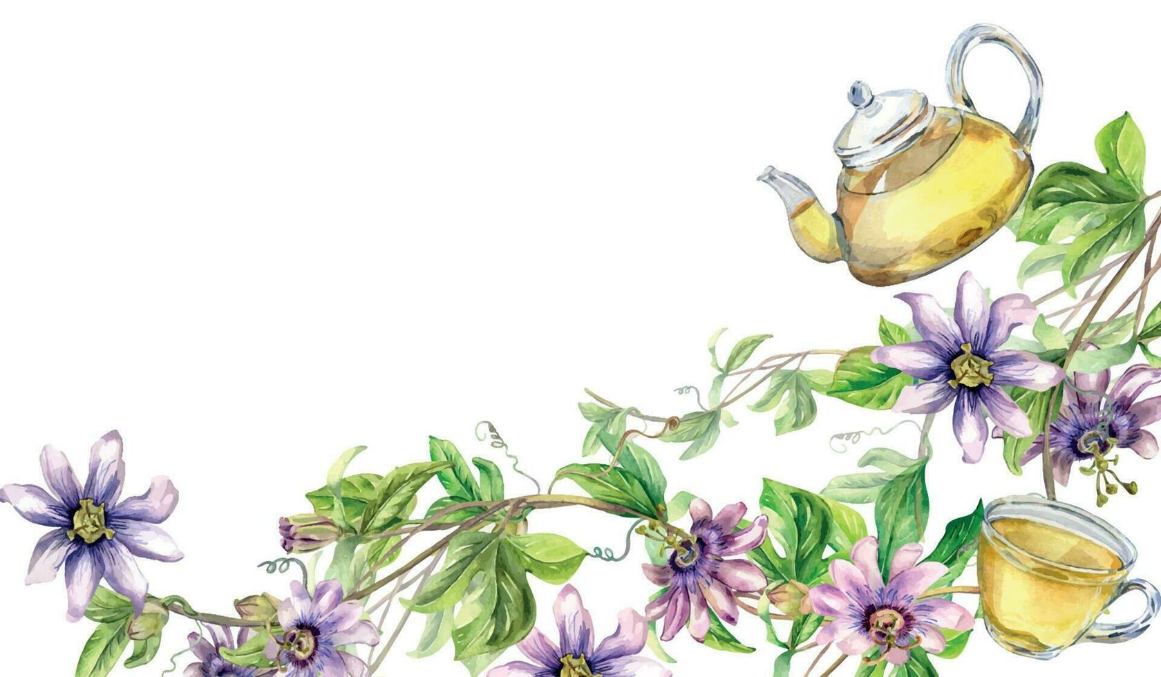 tablero de vaso tetera y taza, pasión flor, vástago acuarela ilustración aislado en blanco. herbario té, salud beber, hojas, flor mano dibujado. diseño para envase, menú, embalaje, bandera vector