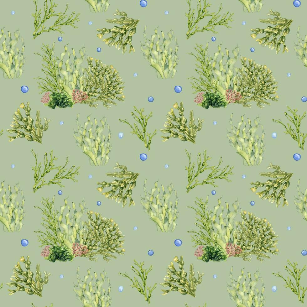 Seamless pattern of green sea plants watercolor illustration isolated on grey. Laminaria, sea salad, ascophyllum hand drawn. Design for package, label, paper, textile, wrapping, marine collection vector