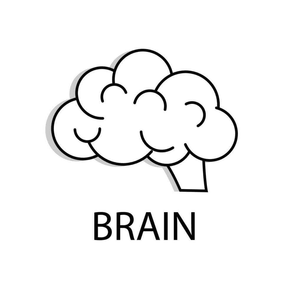 Outline brain vector icon for web design on white background.