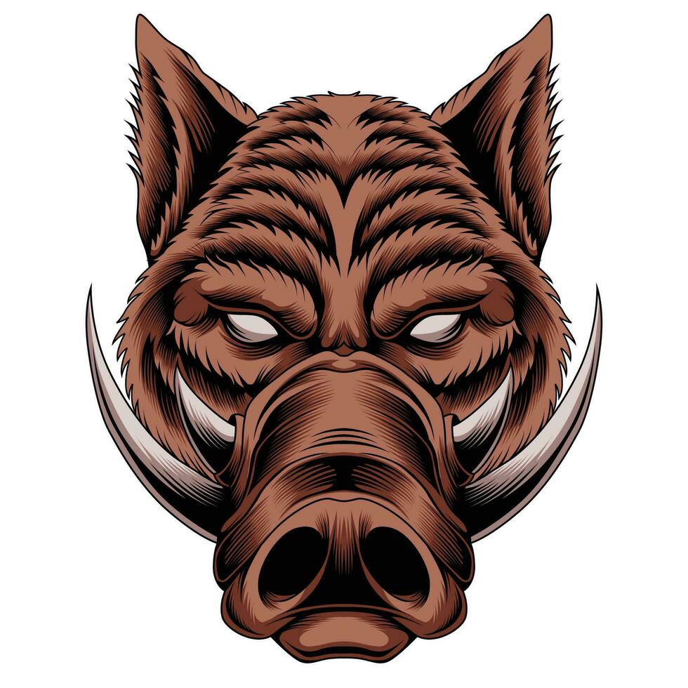 Wild hog vector illustration