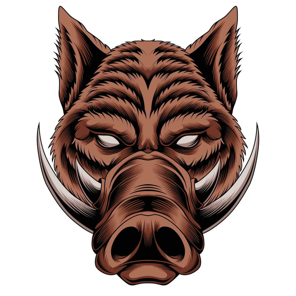 Wild hog vector illustration