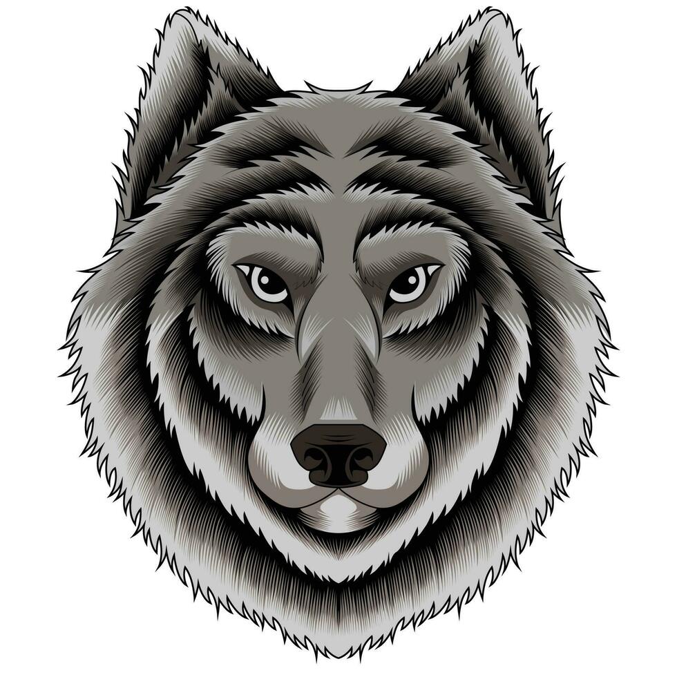 Wolf head vector illustration