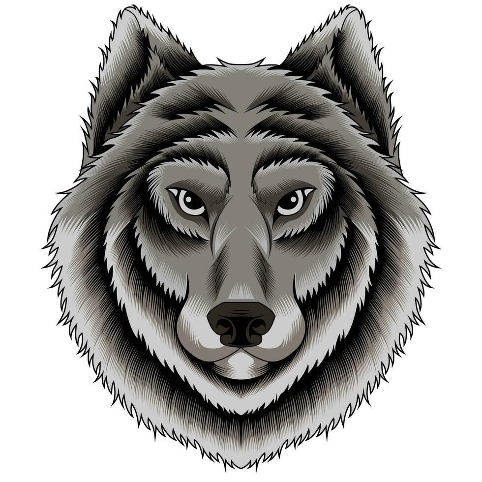 Ilustración de vector de cabeza de lobo