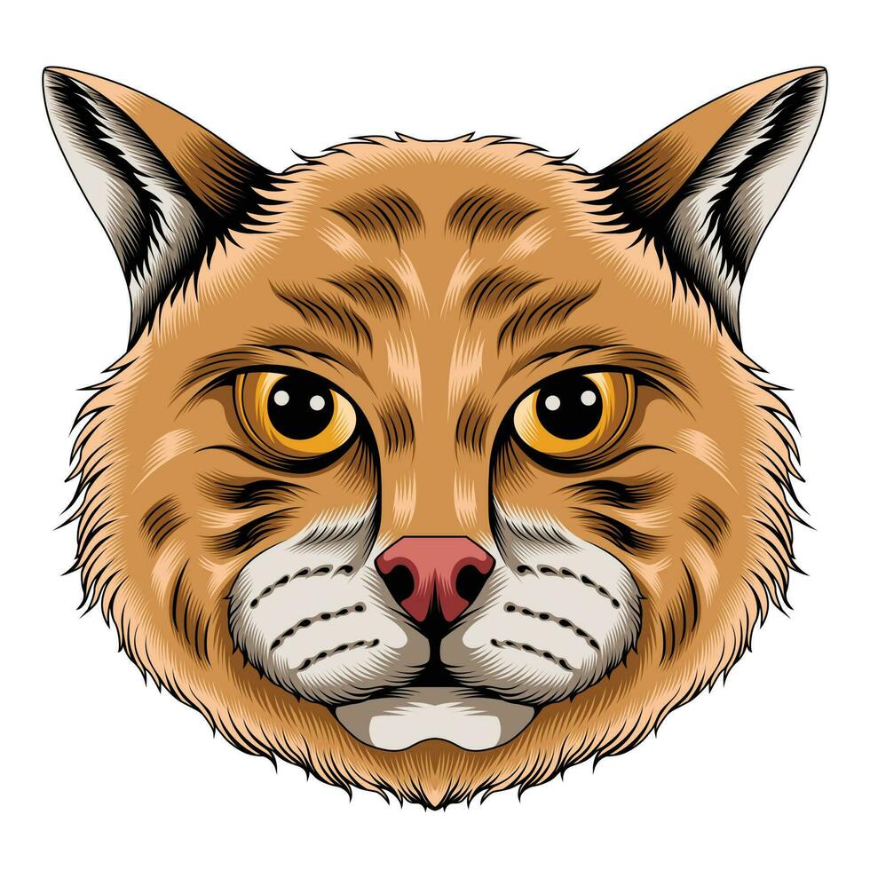 Cat hawk illustration vector