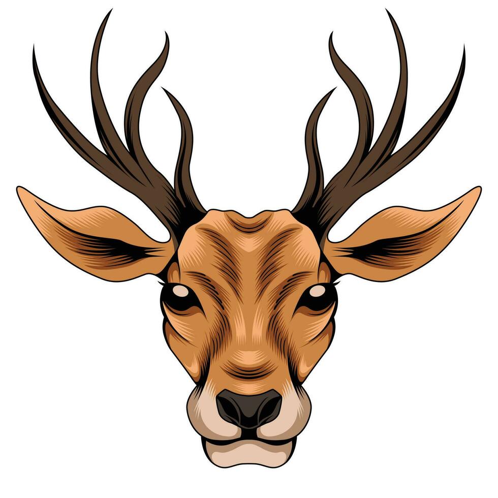 Deer head vector illustration