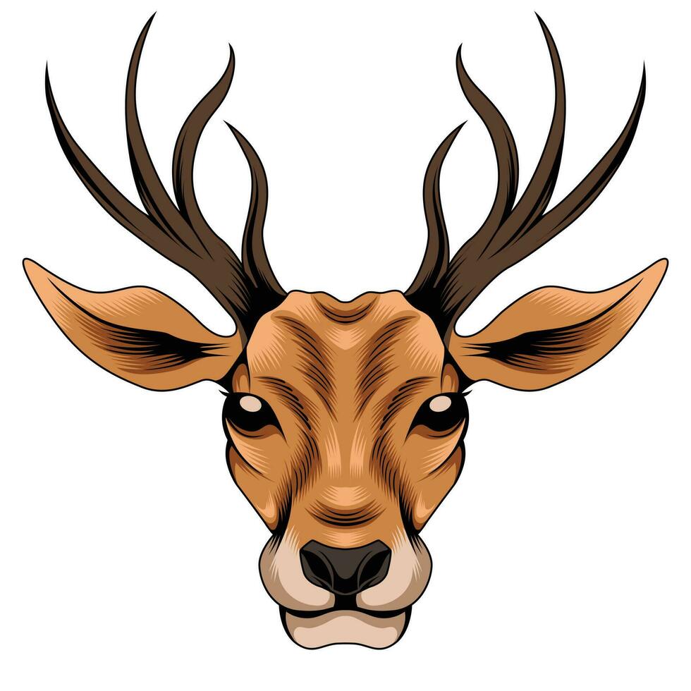 Deer head vector illustration