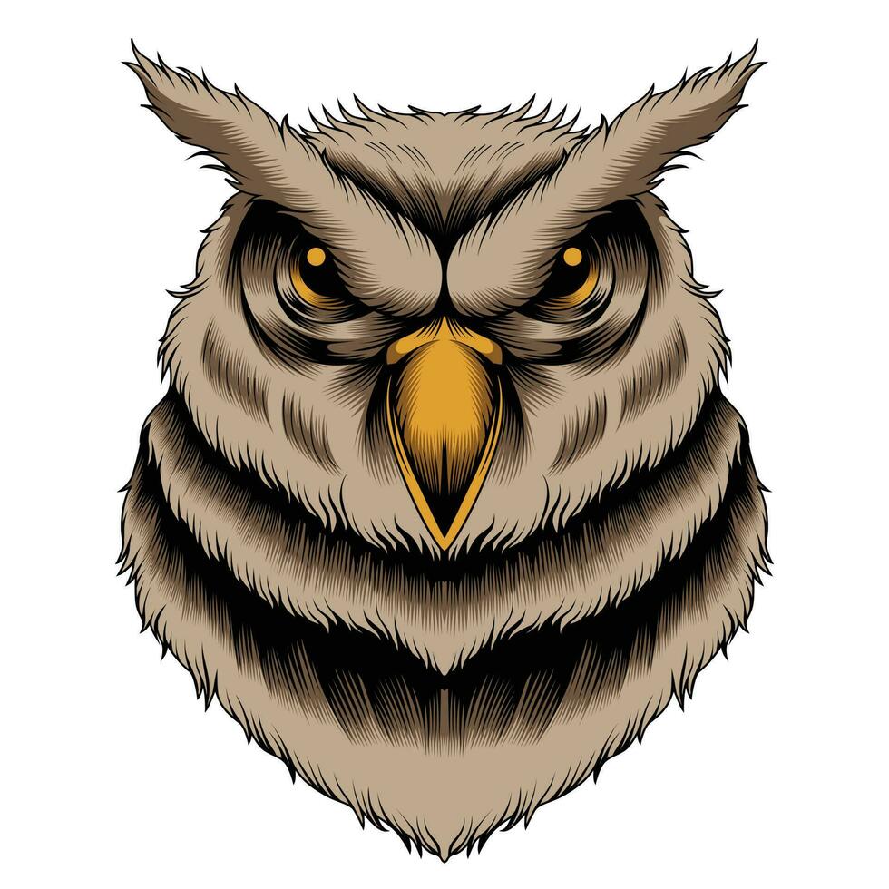 Owl head vector illustration