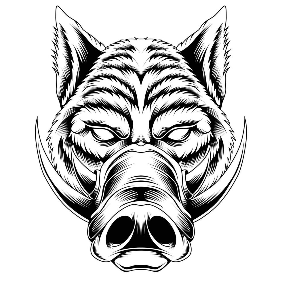 Wild hog vector illustration