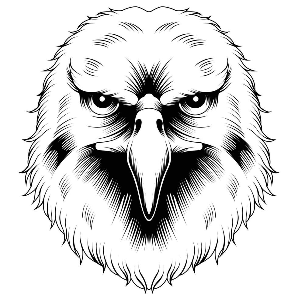 Cat hawk illustration vector