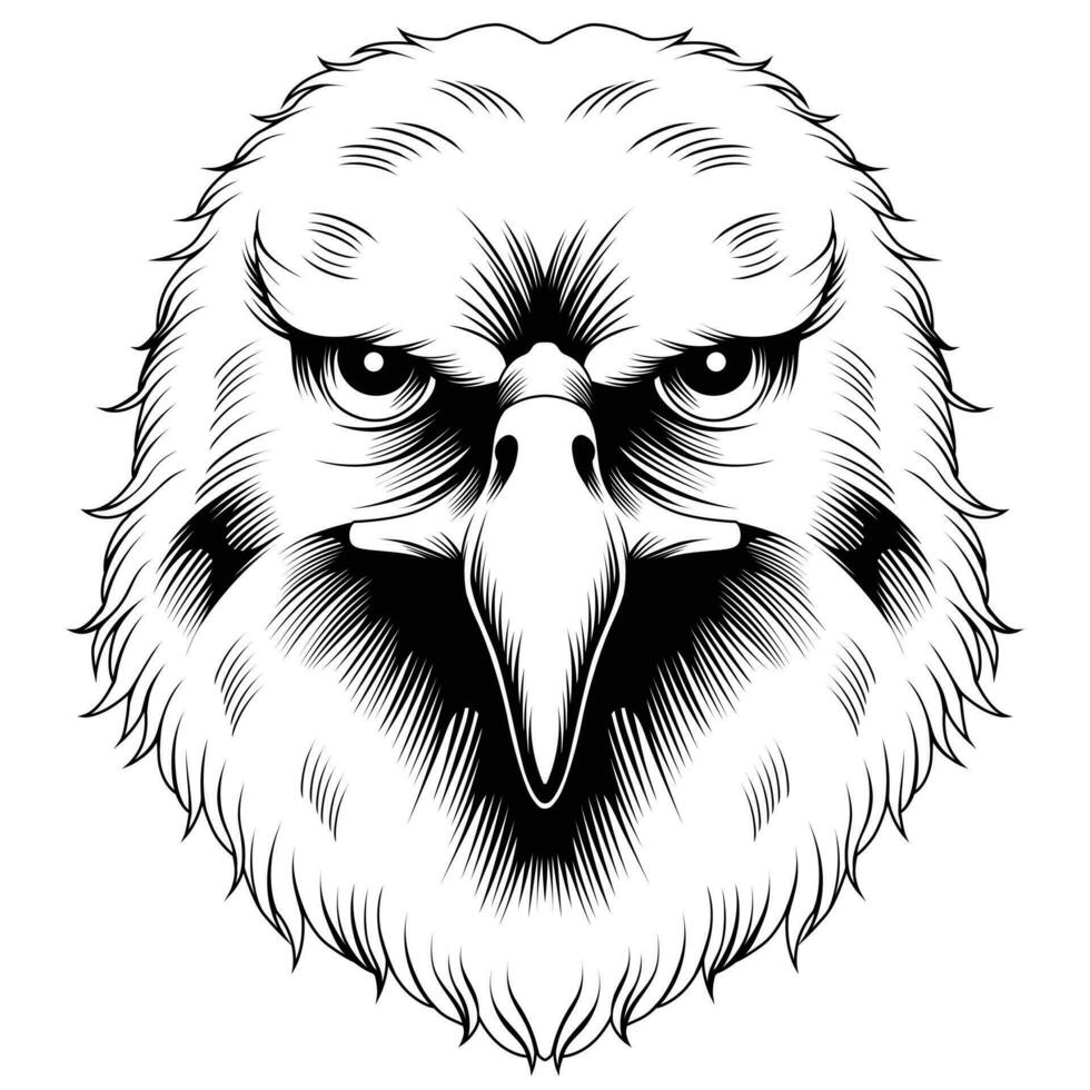 Cat hawk illustration vector