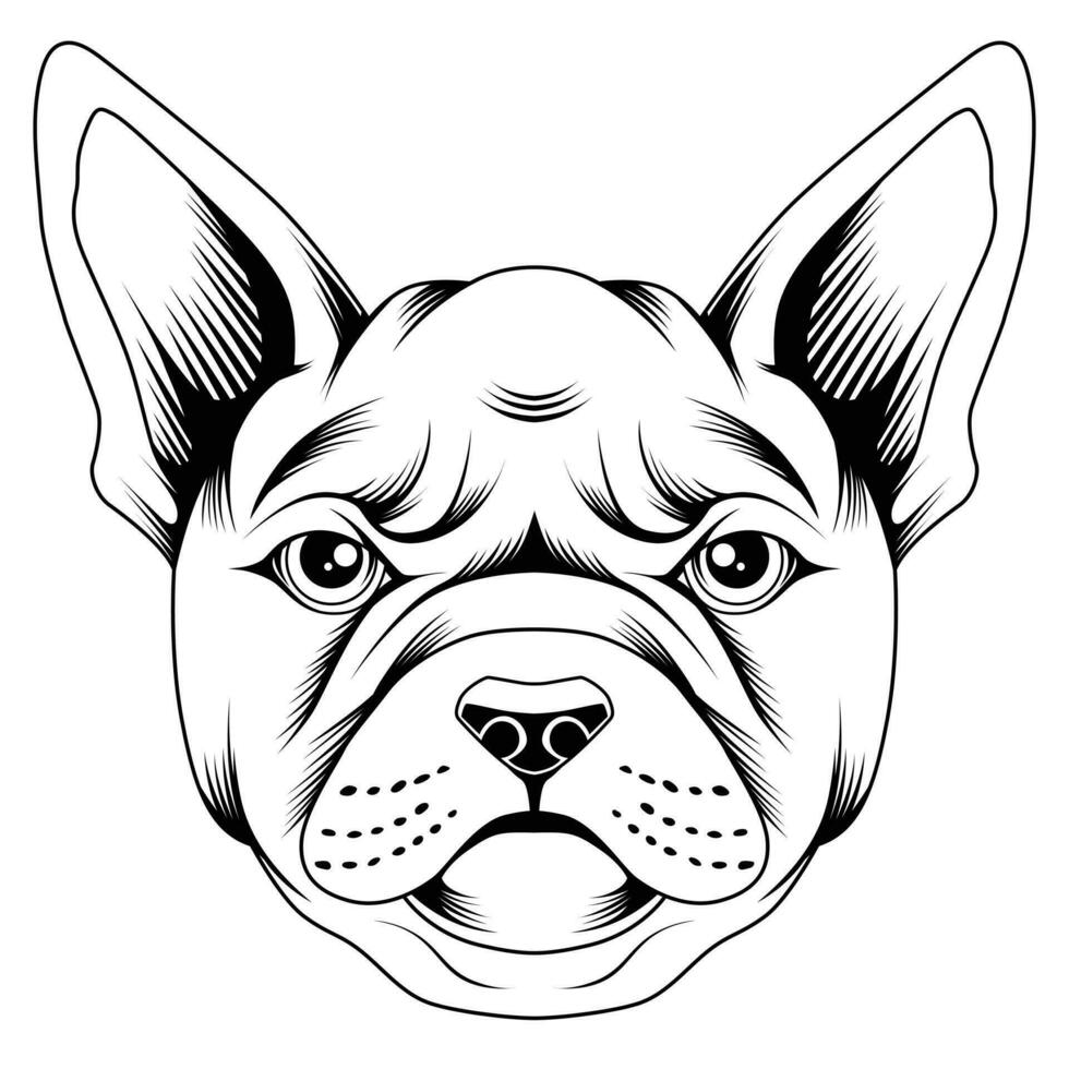 French bulldog vector illustration