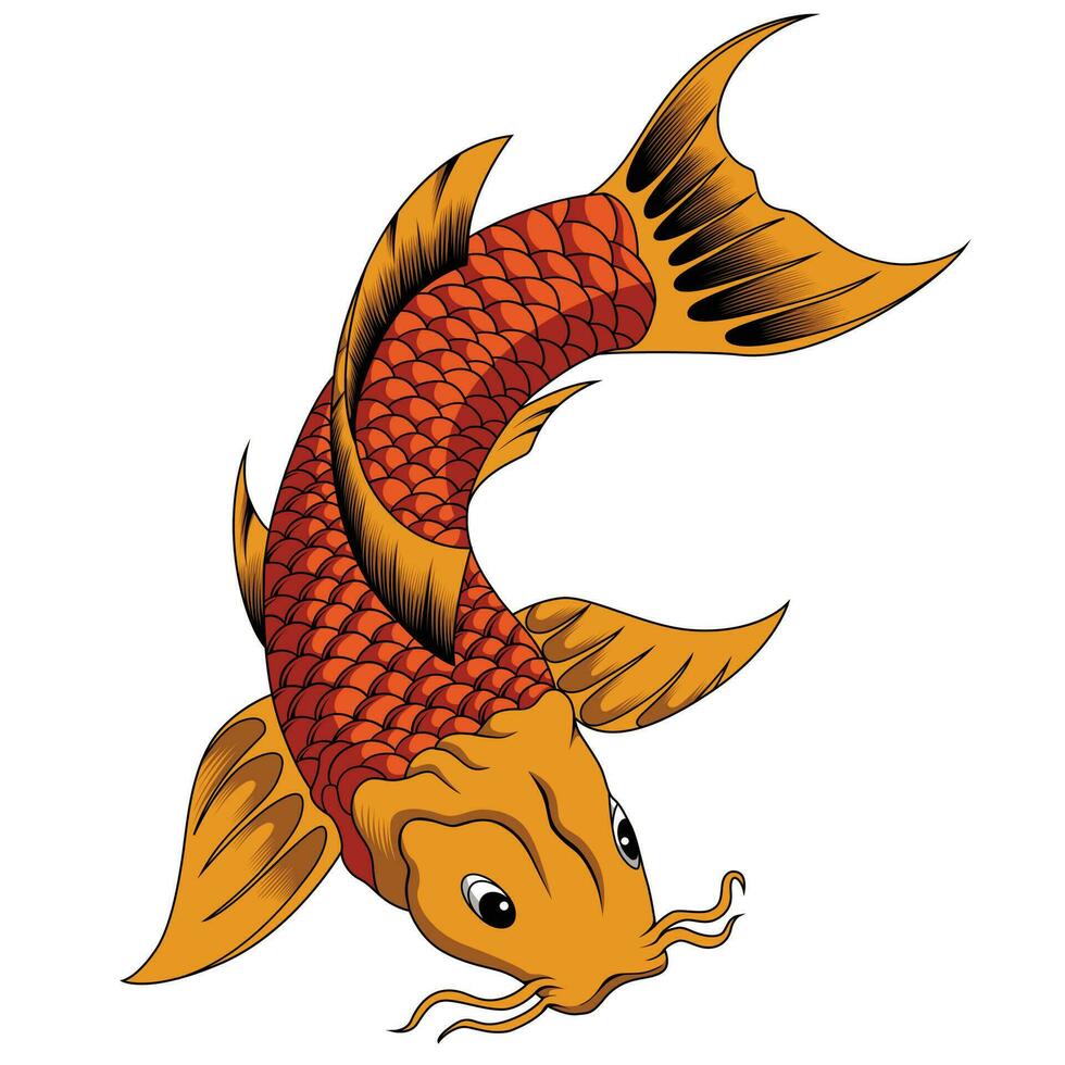 Koi fish vector illustration