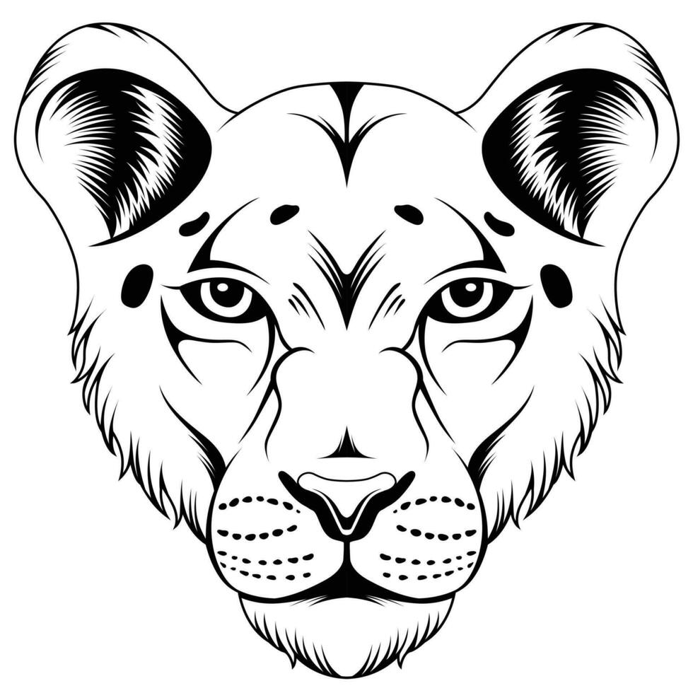 Lioness vector illustration