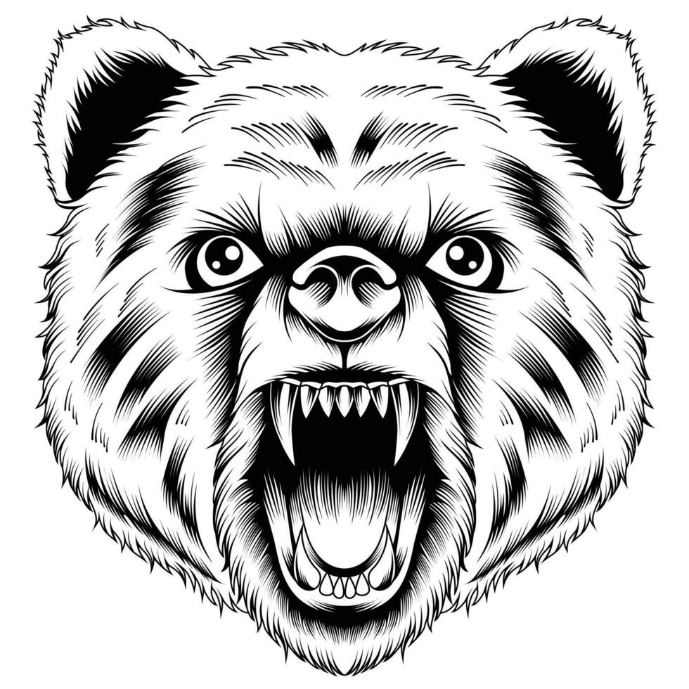 Ilustración de vector de cabeza de oso