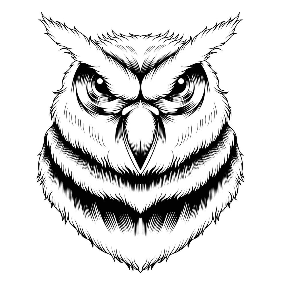 Owl head vector illustration