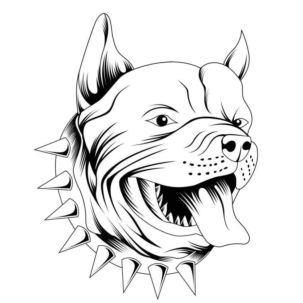 pitbull vector ilustración