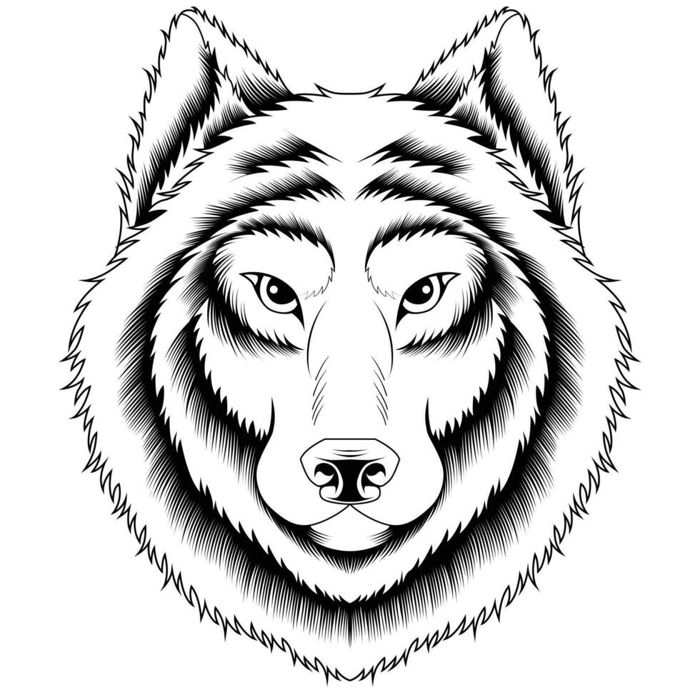 Wolf head vector illustration
