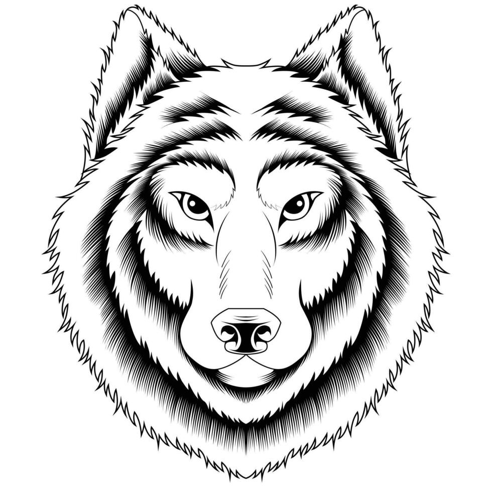 Ilustración de vector de cabeza de lobo