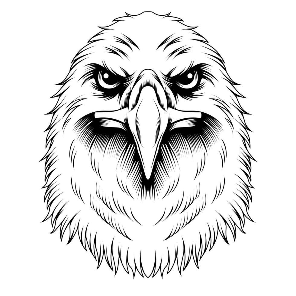 Eagle head vector illustration 23368344 Vector Art at Vecteezy