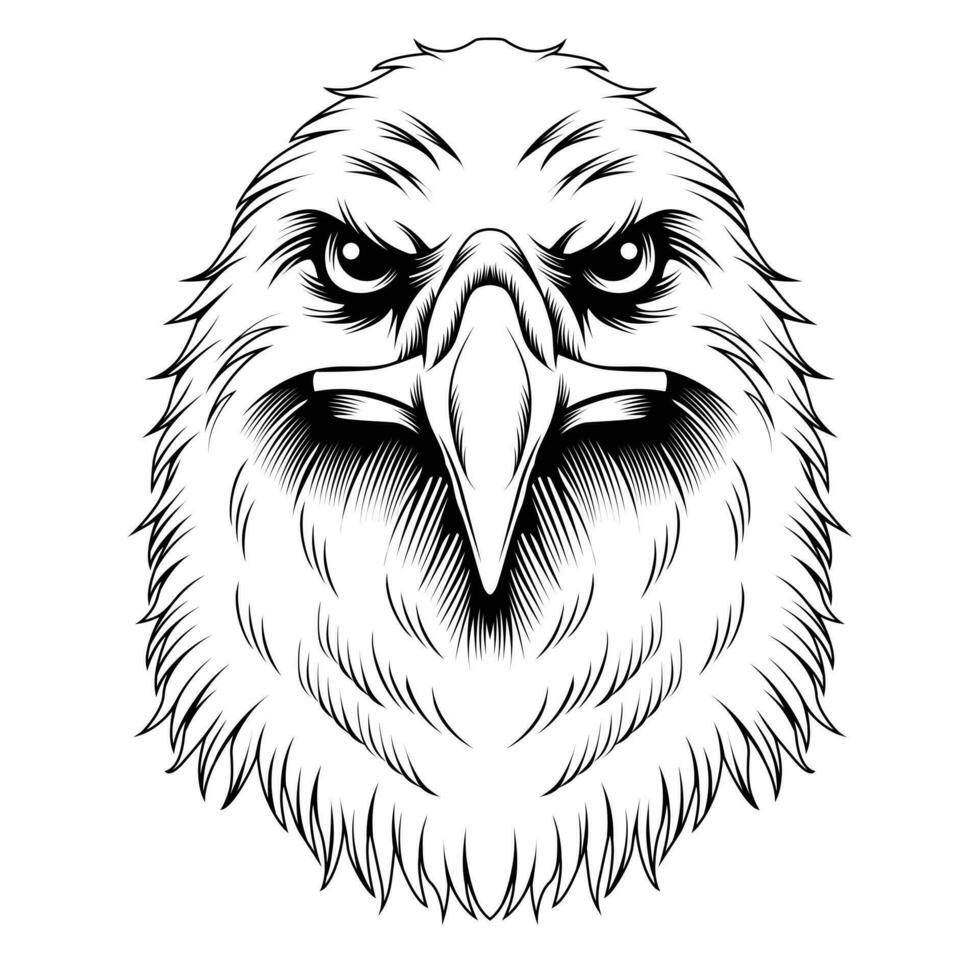 Eagle head vector illustration