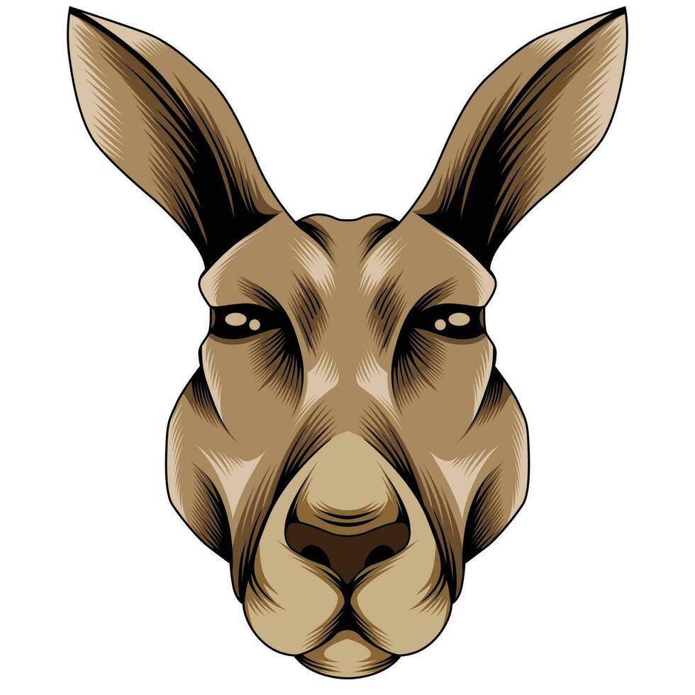 Kangaroo vector illustration