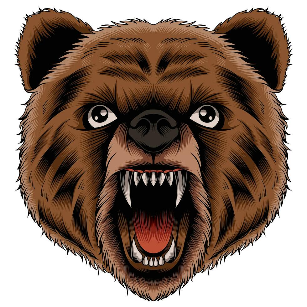 Bear head vector illustration