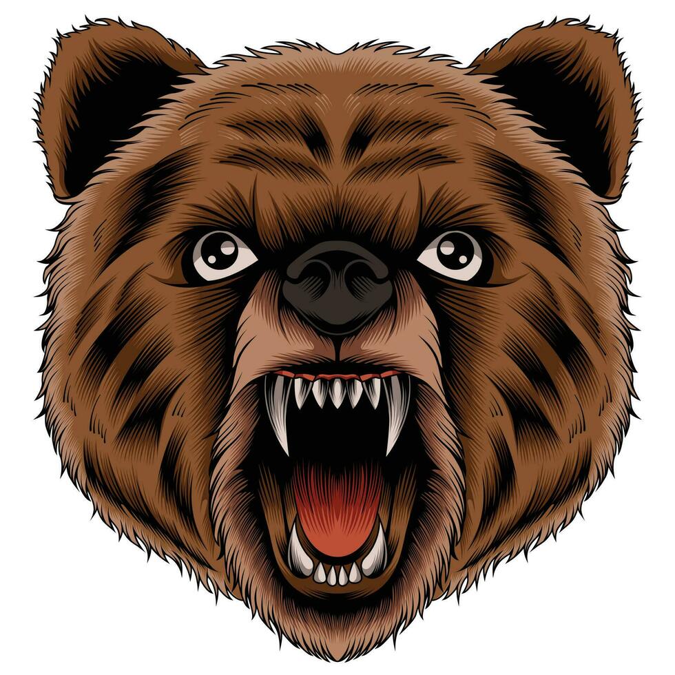 Bear head vector illustration