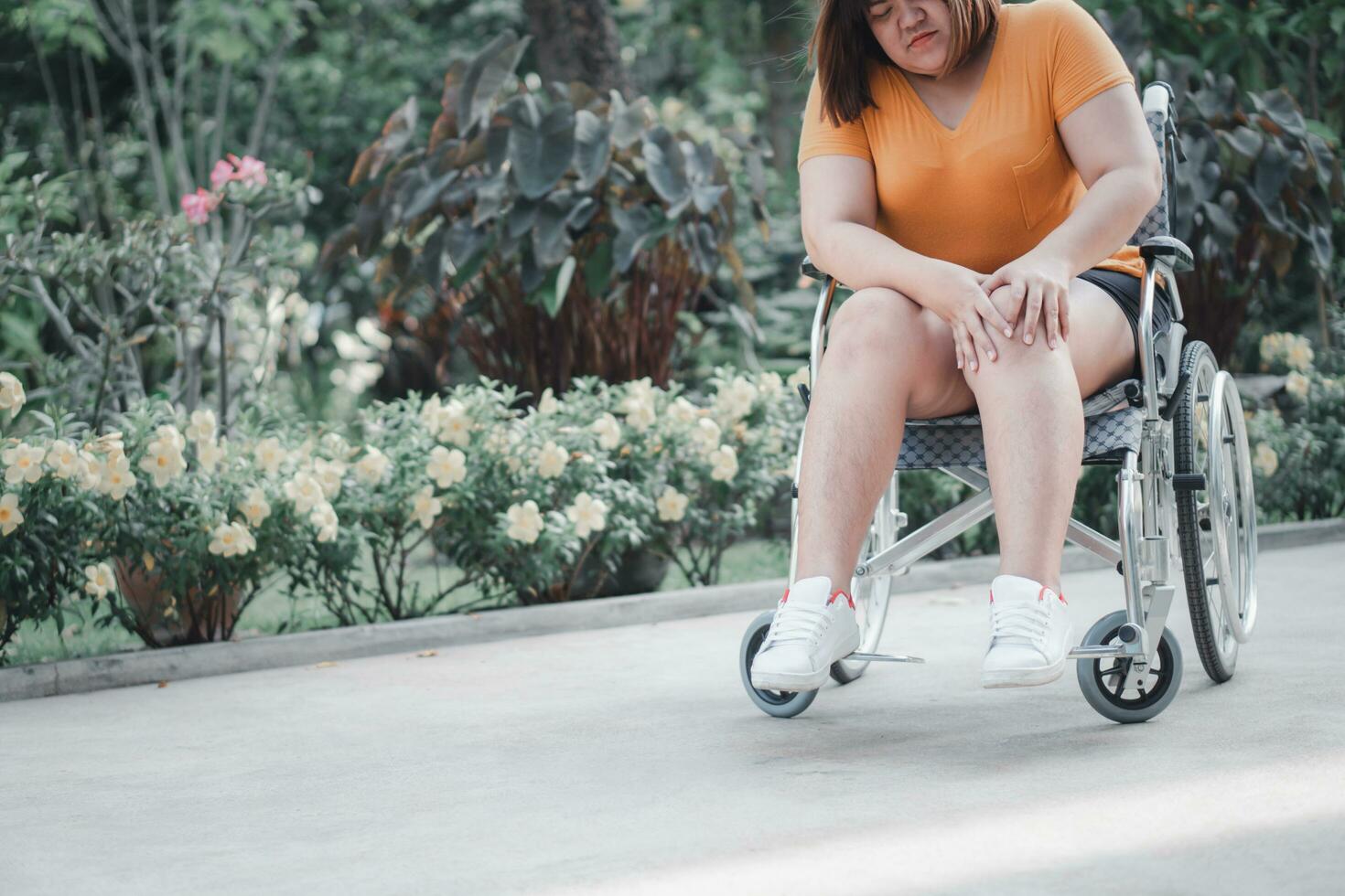 Overweight and obesity woman sitting on wheelchair and holding her knee In pain, cause of Inflammation of his knee to receiving too much weight, Concept of an Overweight problem and Health care photo