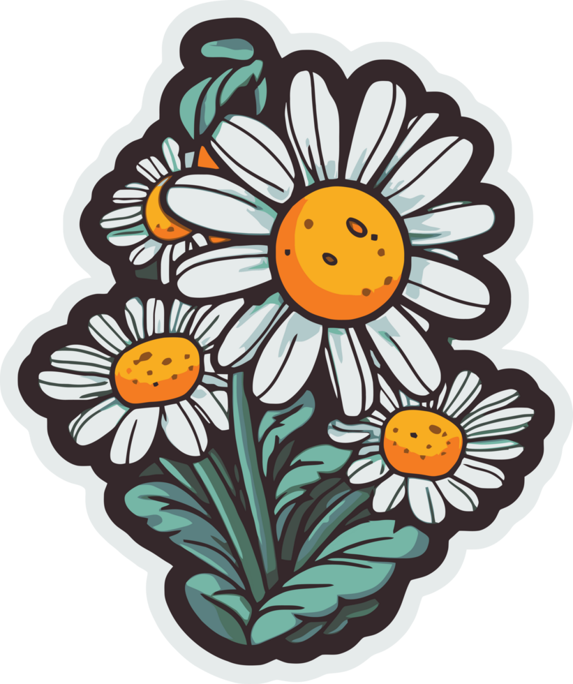 daisy white flowers art, floral decorative illustration for sticker and printing png