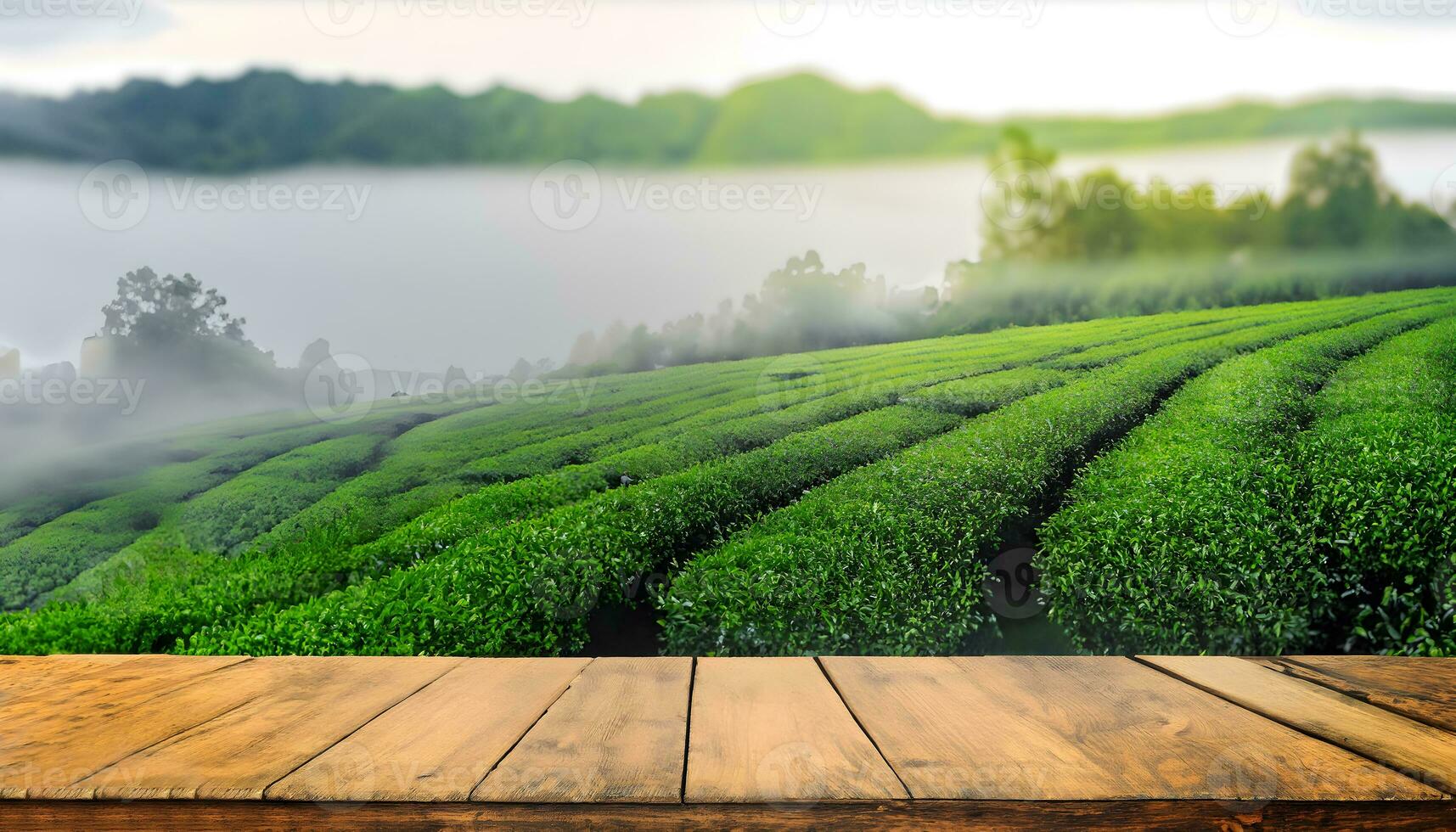 Empty wood table top and Tea farm background. photo