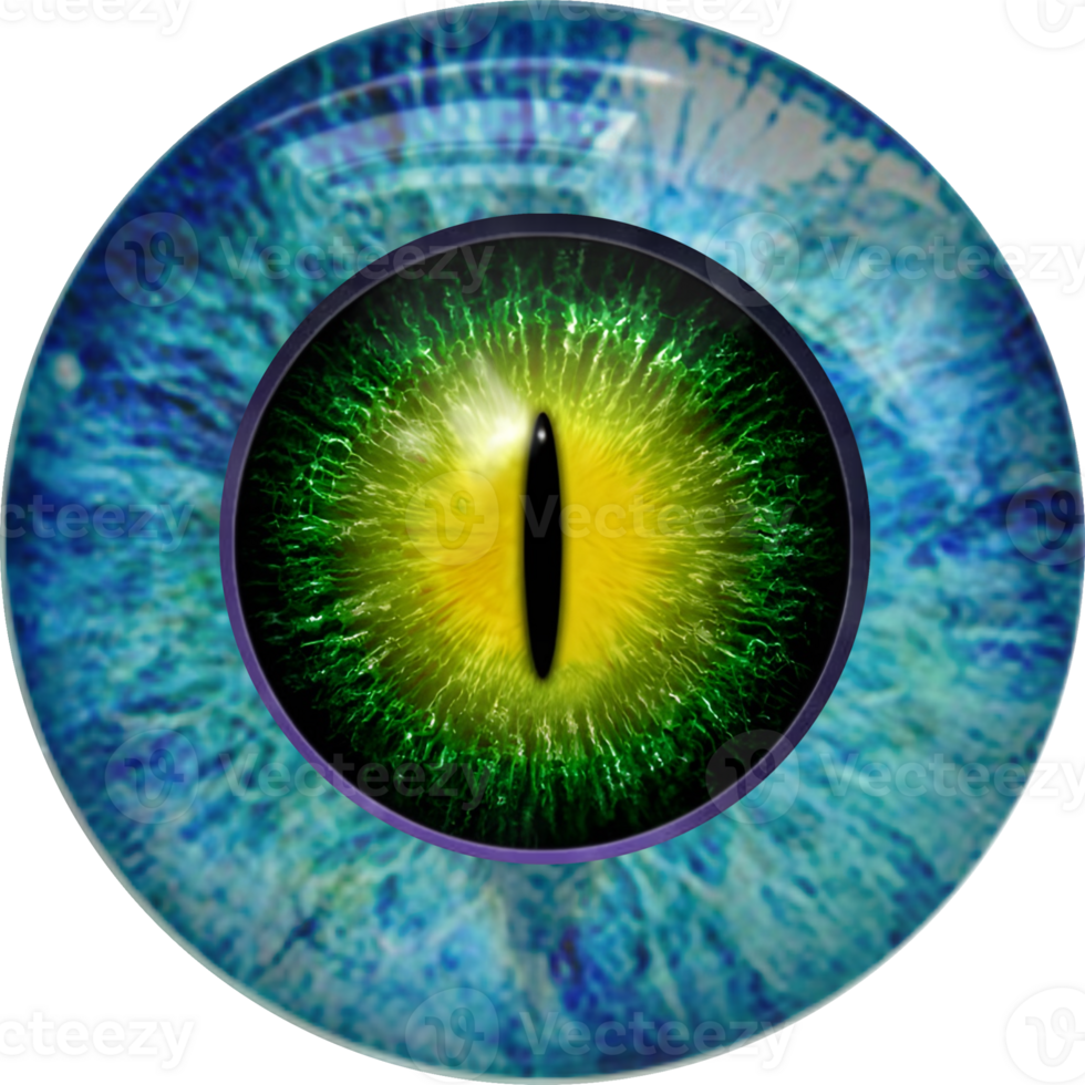 Animal, dragon, reptile eye, pupil, iris. Icon, fantasy element. png