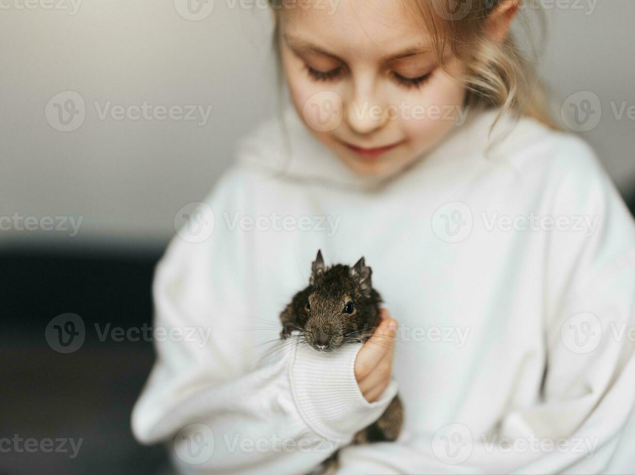 Little girl playing with small animal degu squirrel. photo