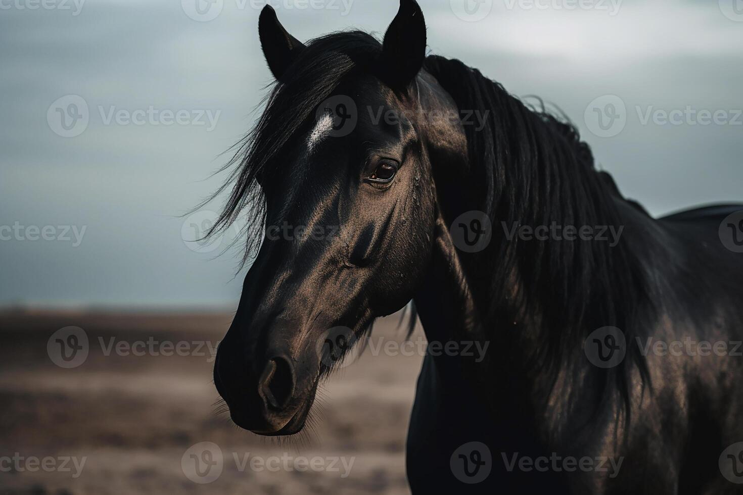 un pura sangre negro caballo en el pastar. generativo ai foto